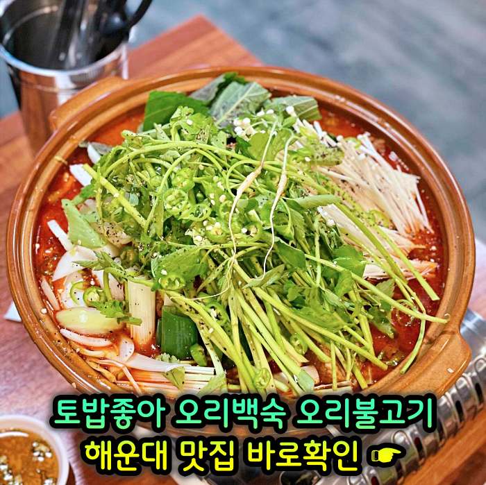 부산 해운대 맛집 무항생제 1등급 오리 백숙