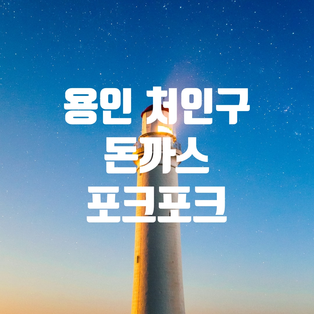  용인 처인구 맛집 포크포크 돈까스 명지대근처에 있어요