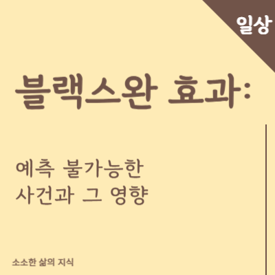 블랙스완효과 타이틀