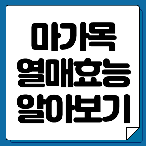 마가목 열매 효능 10가지 및 먹는법