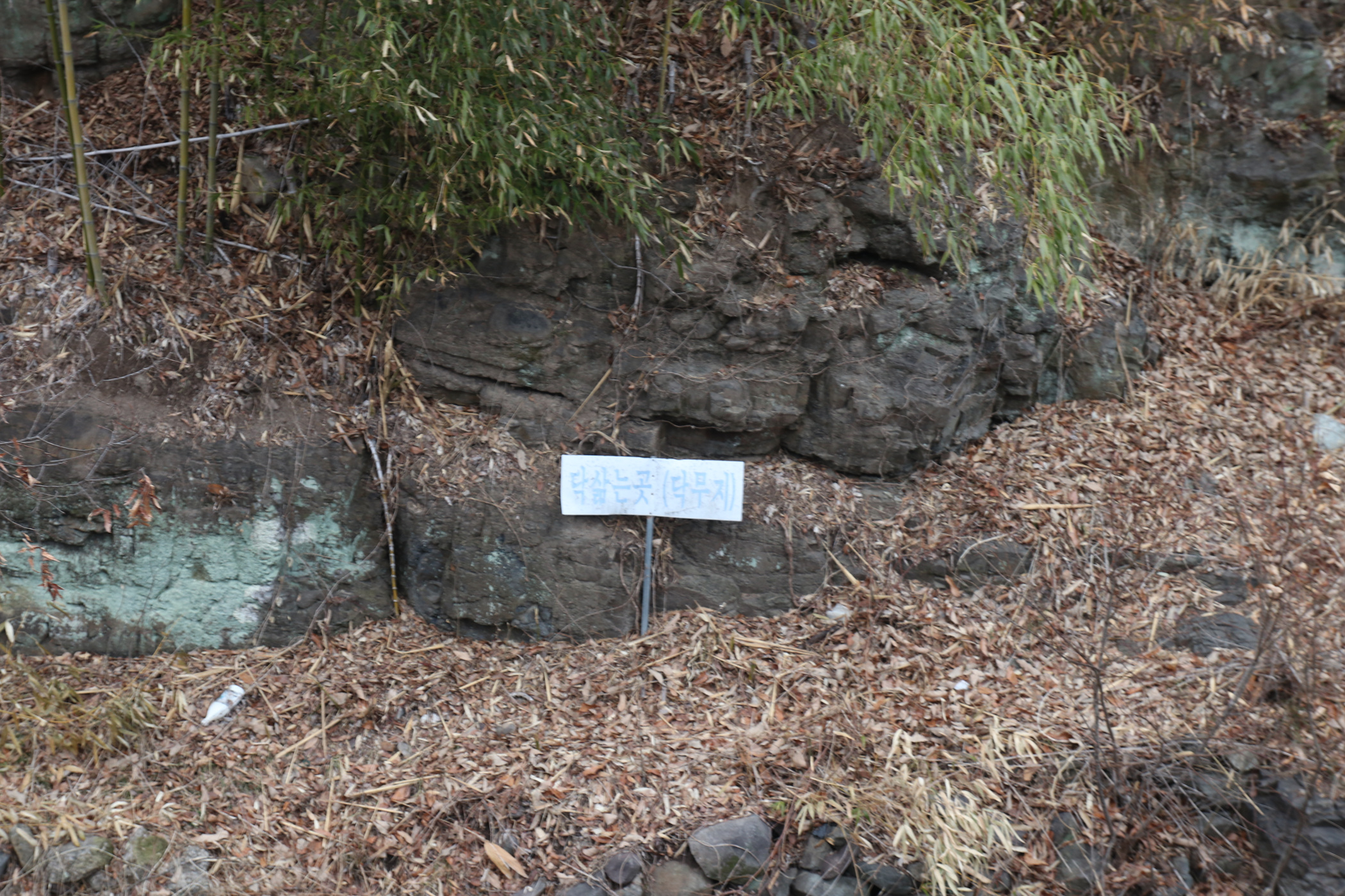 경남 의령군 국사봉 05 71