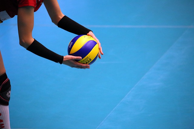 정관장 VS 현대건설 경기 일정 및 실시간 중계 보는 방법 총정리! 프로배구 V리그 24-25 5R