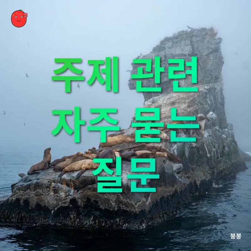 코모로 섬 여행_3_subsection