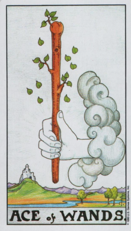  [타로해석]Ace of wands 에이스 완드 카드 정방향/ 역방향 뜻, 의미, 상징