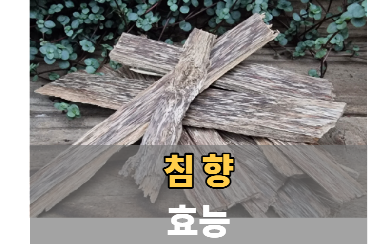 침향 12가지 효능과 부작용&#44; 복용법&#44; 성분 그리고 FAQs [총정리]