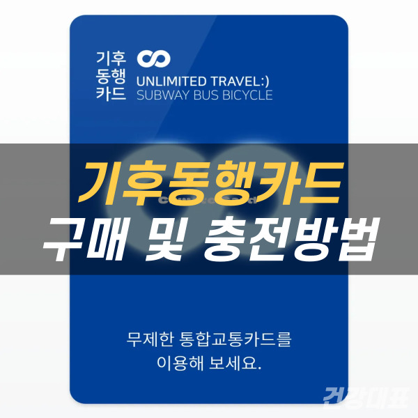 실물 기후동행카드