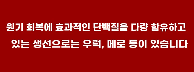 원기 회복에 효과적인 단백질을 다량 함유하고 있는 생선으로는 우럭, 메로 등이 있습니다