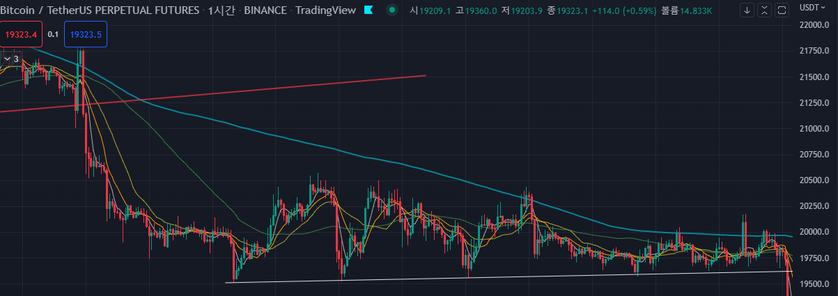 비트코인 btc 1시간차트 바이낸스