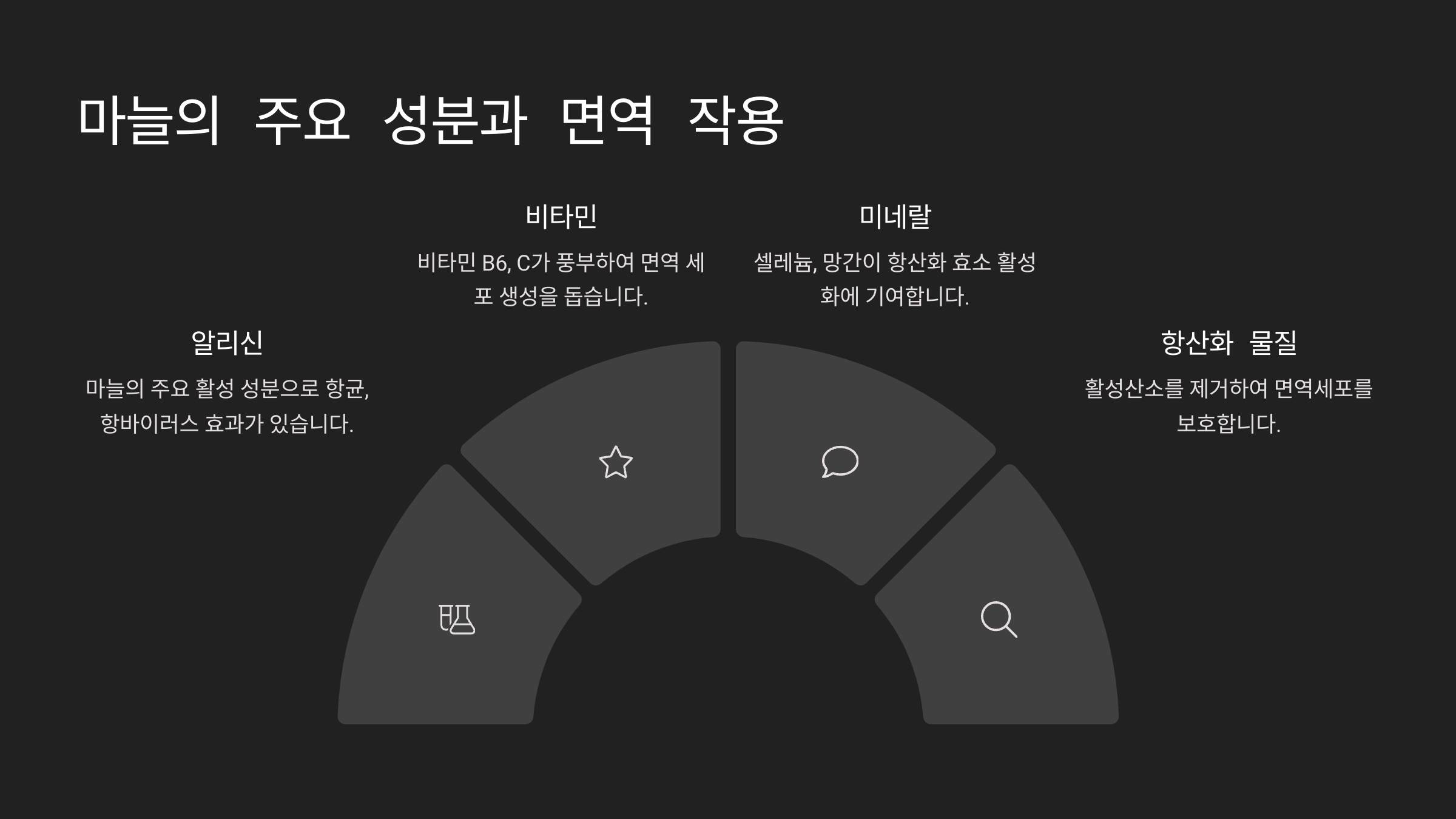 🧬 마늘의 주요 성분과 면역 작용