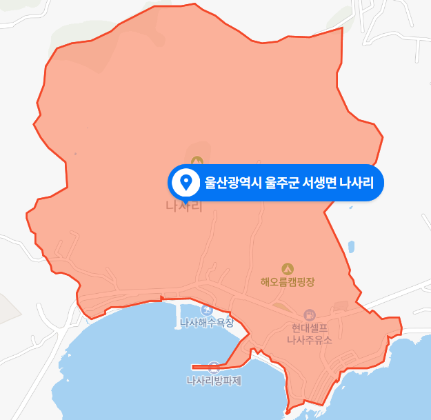  울산 울주군 서생면 나사리 산불사고 (2020년 12월 20일)