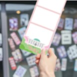 사진-촬영