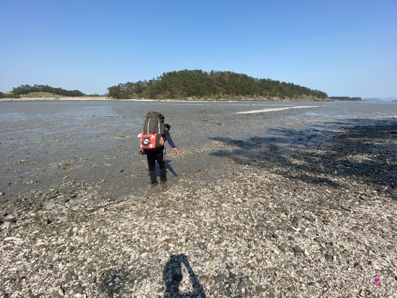 가고싶은 섬 가고싶은섬, 꼬막길과 뻘배길이 42