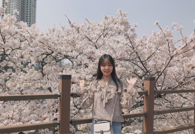 꽃보라화원 이미지