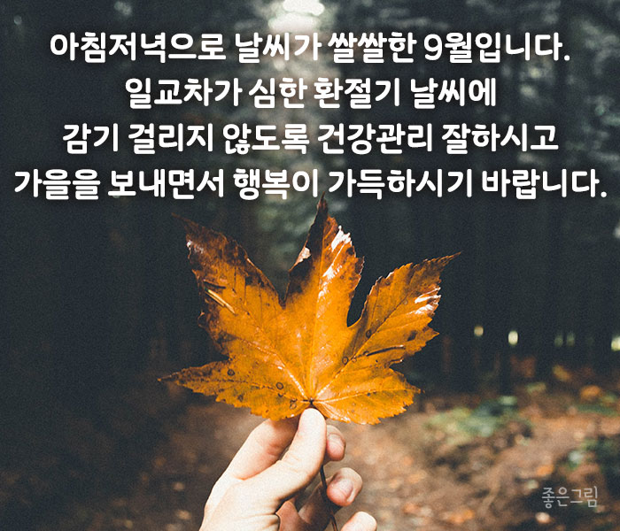 9월 가을 좋은글귀 인사말 문구 이미지 모음 카톡 안부 9월 가을 좋은글귀 인사말 문구 이미지 모음 카톡 안부