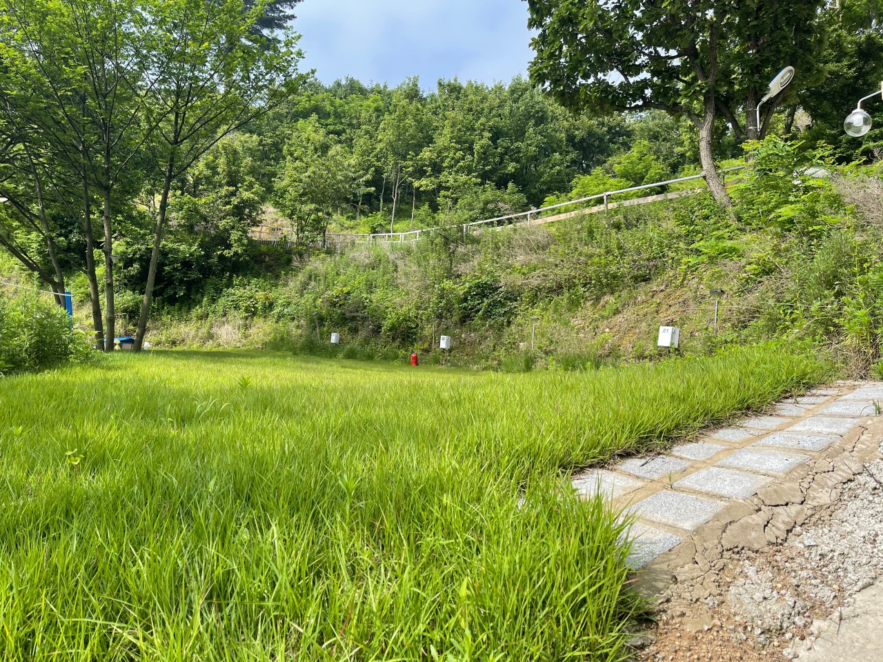 숲과별 이미지