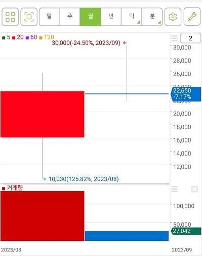 스마트레이더시스템 월봉