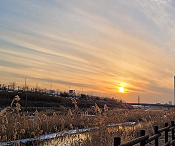 거래량-차트-분석-보는법-지표