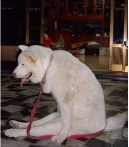 구시포 노을 캠핑장 이미지