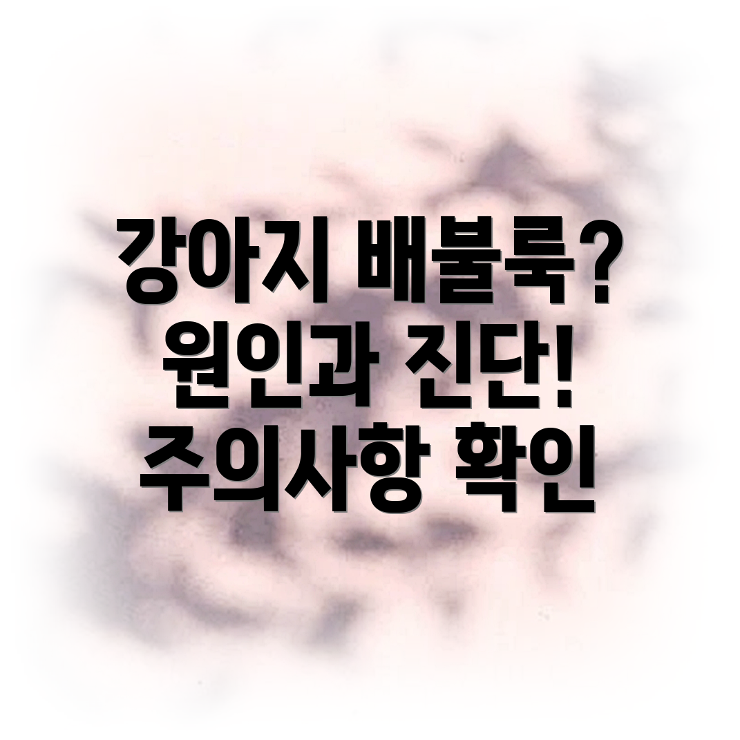 강아지 복부팽만