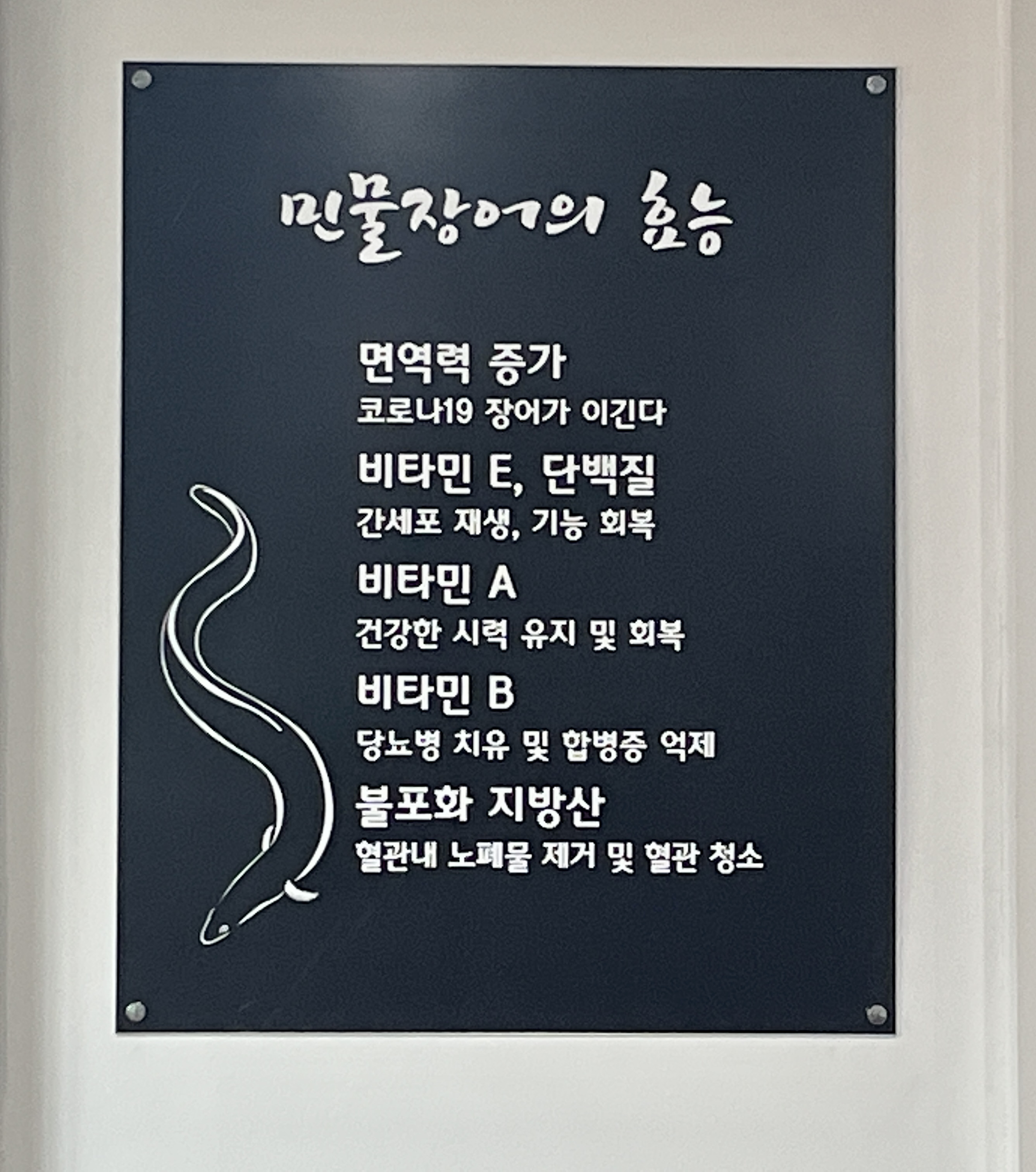풍천일등장어 이미지