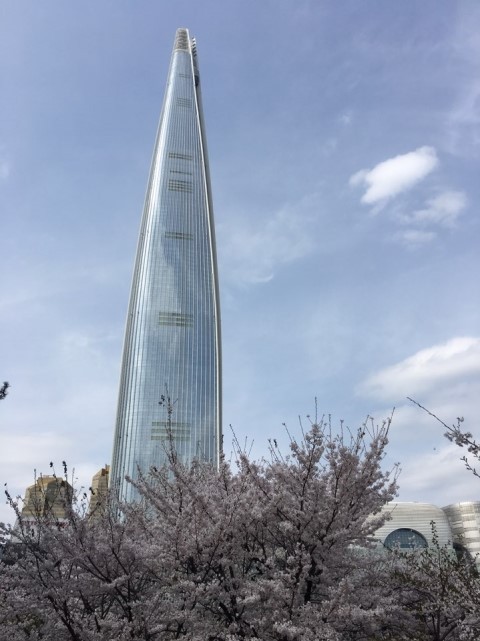 카페오하나 이미지