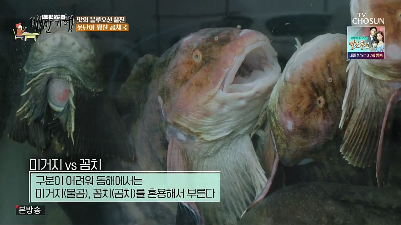 식객 허영만의 백반기행.E183.230107p.H264-F1RST.mp4_20230107_175343.991.jpg