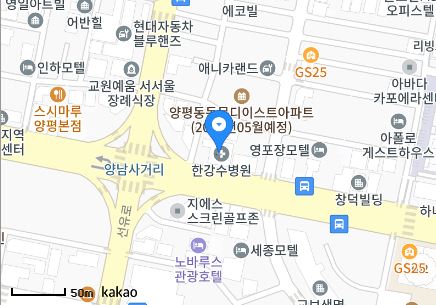 서울시 영등포구 양평동2가 일요일 진료 휴일 문 여는 병원