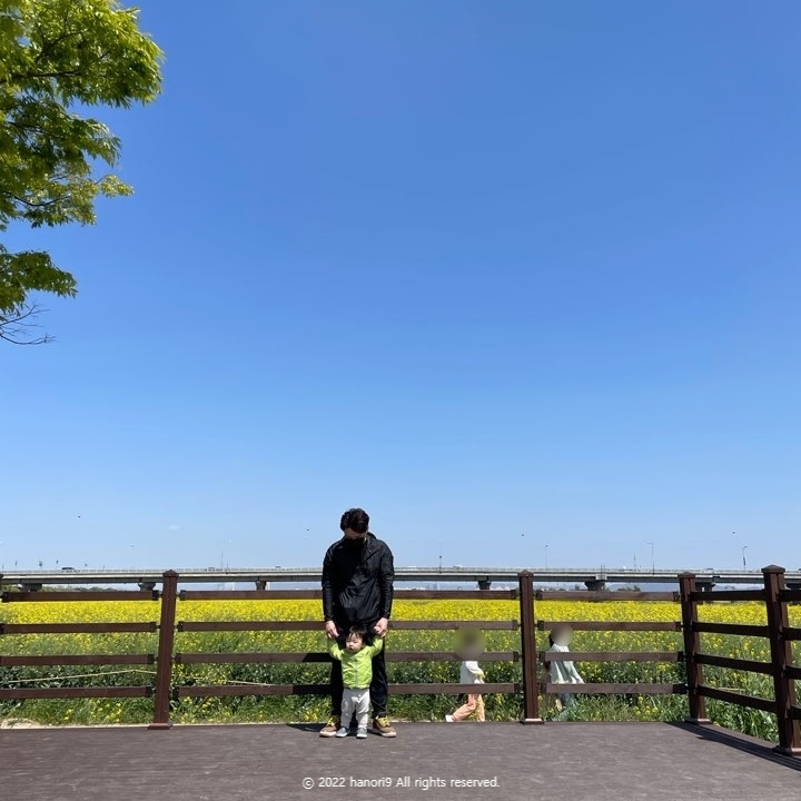 영산강 나주 유채꽃 나들이 5