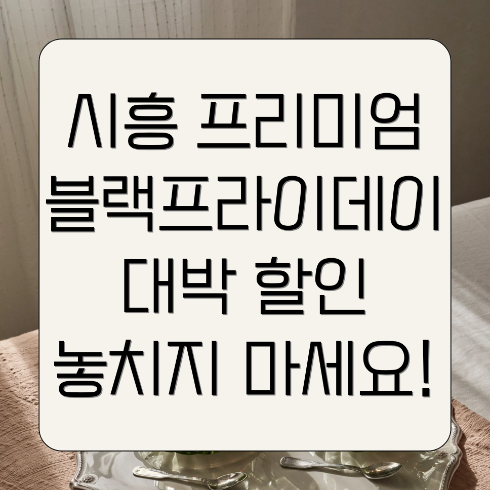 시흥 프리미엄 아울렛 블랙 프라이데이