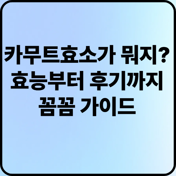 카무트 효소가 뭐지? 효능부터 후기까지 꼼꼼 가이드