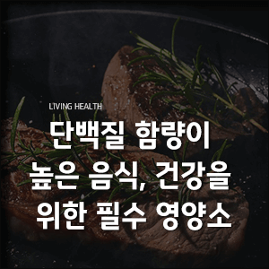  단백질 함량이 높은 음식 건강을 위한 필수 영양소