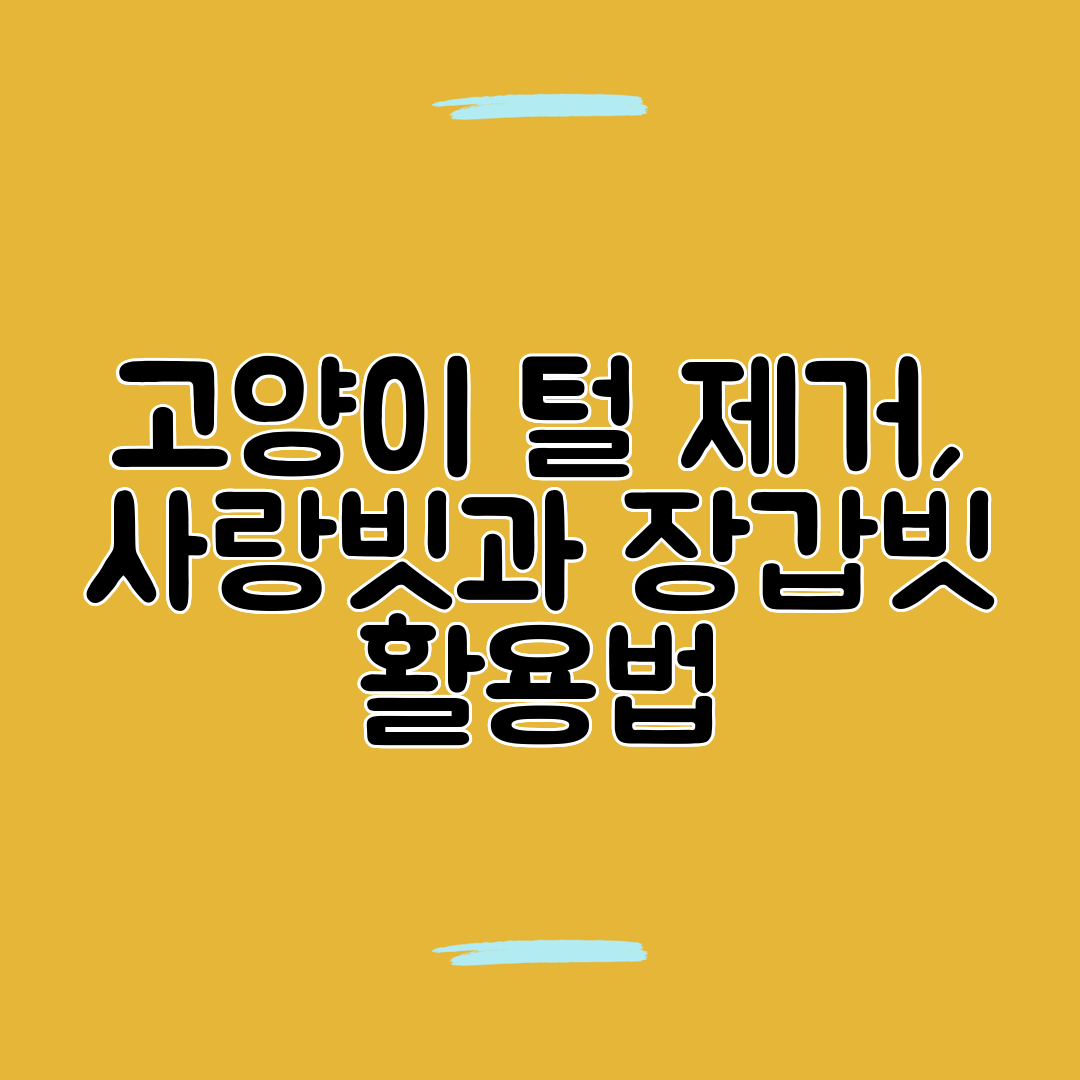 고양이 털 제거, 사랑빗과 장갑빗 활용법