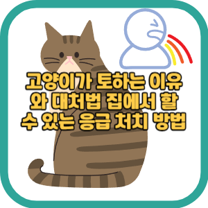고양이가 토하는 이유와 대처법 집에서 할 수 있는 응급 처치 방법