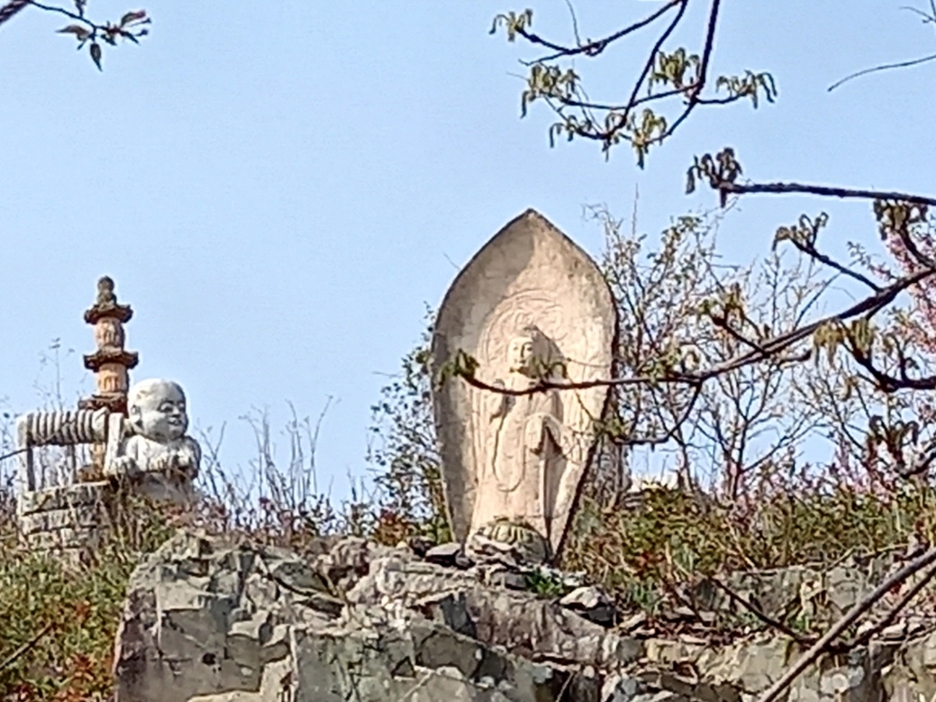 img.jpg