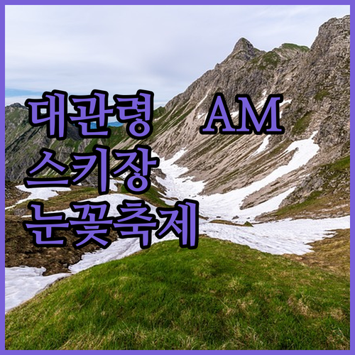 대관령 AM호텔 숙박 후기 스키장 &