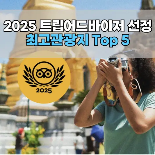 2025 최고관광지 Top 5