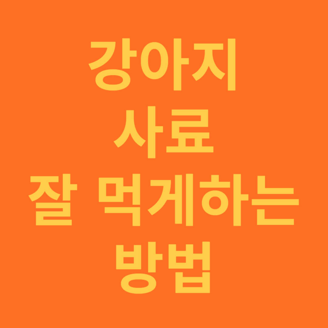 강아지 사료 잘 먹게 하는 방법