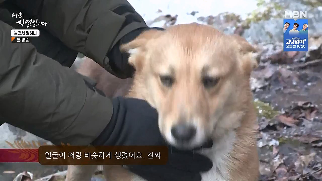 나는 자연인이다.E538.230126p-NEXT.mp4_20230126_194011.116.jpg