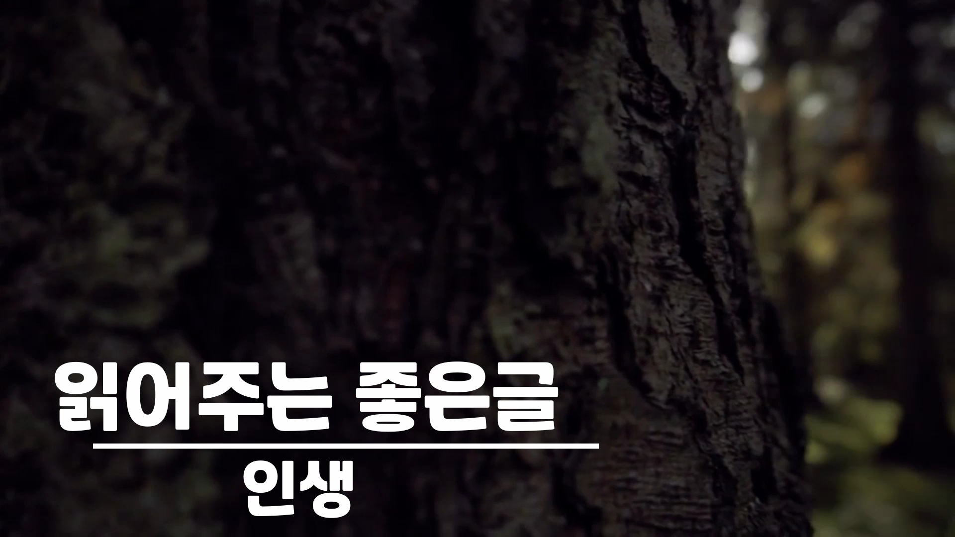  인생 / 좋은글 오디오, 좋은글 모음, 명언, 좋은글귀, 일러스트