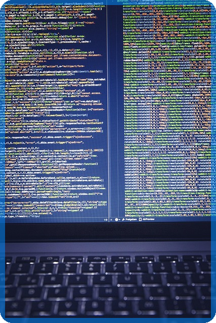 커리어 전환 로드맵