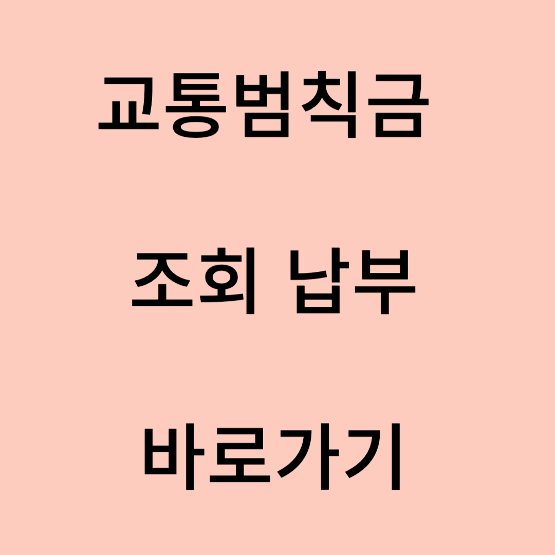 교통범칙금 조회 납부 바로가기