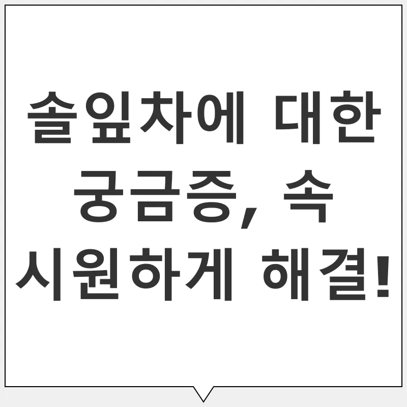 솔잎차 건강 효능_4
