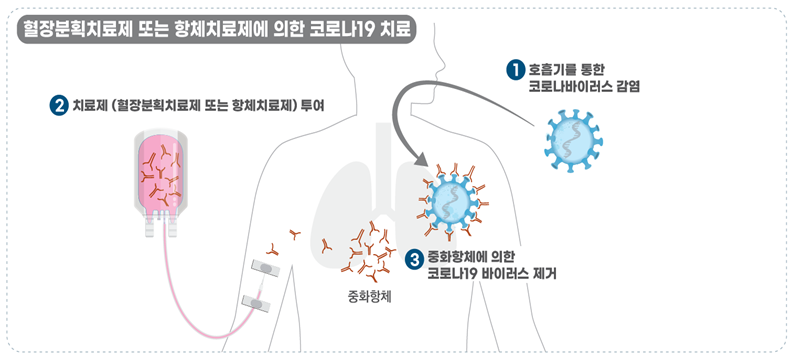  항체치료제 관련주 4가지 (한미약품, 보령제약, 시노텍스, 녹십자)