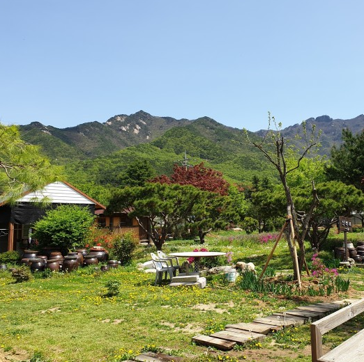 밥꽃 이미지