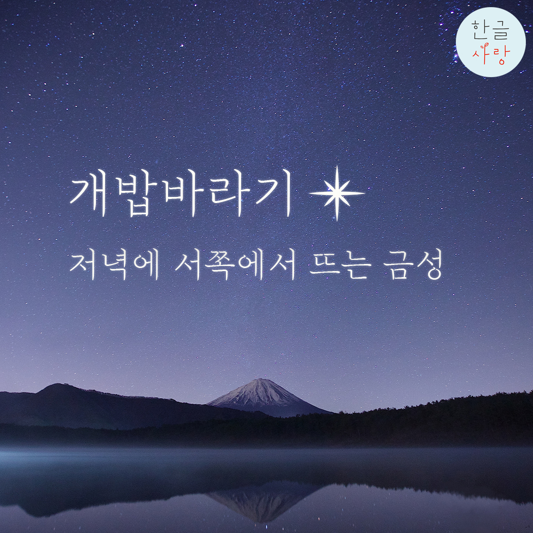  개밥바라기는 무슨 뜻일까요?