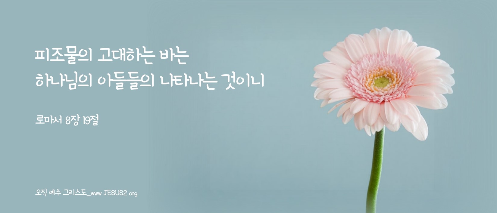 여호와 새일교회
