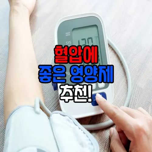 혈압에 좋은 영양제 추천