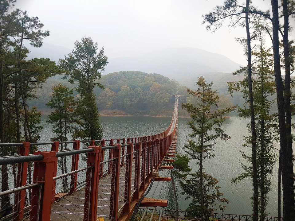  파주여행, 마장호수 출렁다리 주차, 수상레저 정보 공유드려요.