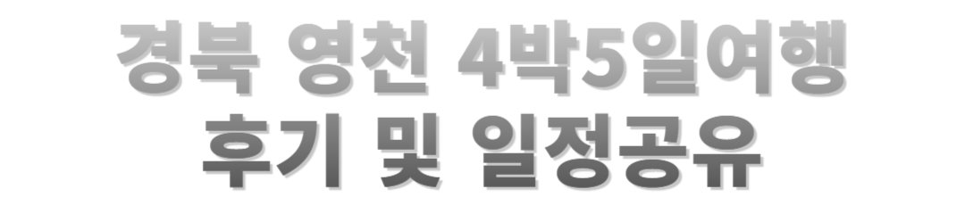 영천 4박 5일의 특별한 시간