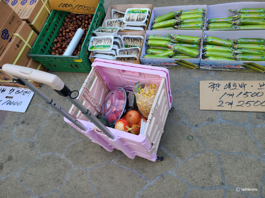 바구니 장캐리어 편해요 22